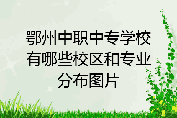 鄂州中职中专学校有哪些校区和专业分布图片