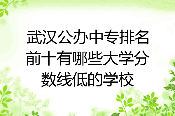 武汉公办中专排名前十有哪些大学分数线低的学校