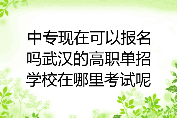 中专现在可以报名吗武汉的高职单招学校在哪里考试呢