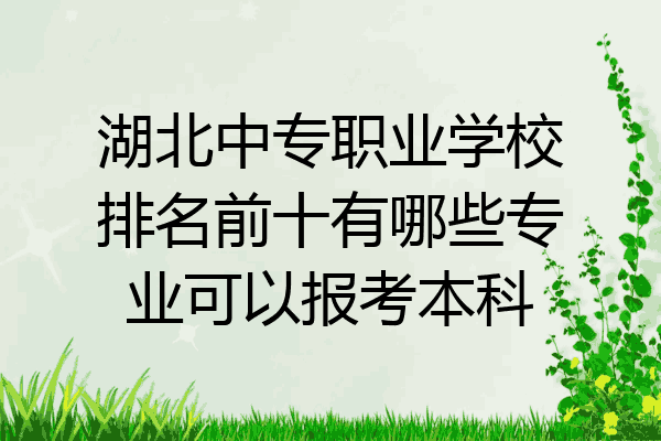 湖北中专职业学校排名前十有哪些专业可以报考本科