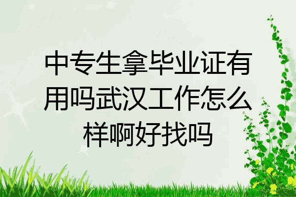 中专生拿毕业证有用吗武汉工作怎么样啊好找吗