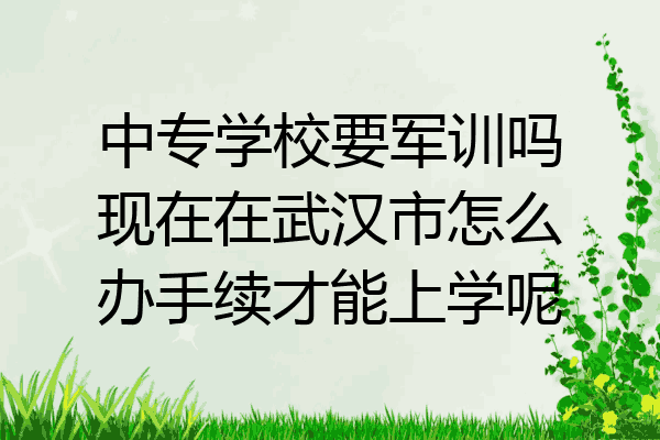 中专学校要军训吗现在在武汉市怎么办手续才能上学呢