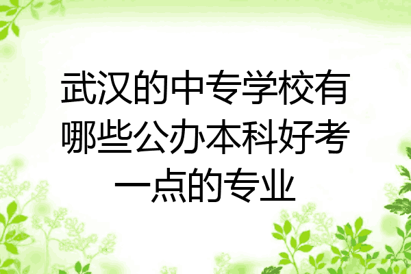 武汉的中专学校有哪些公办本科好考一点的专业