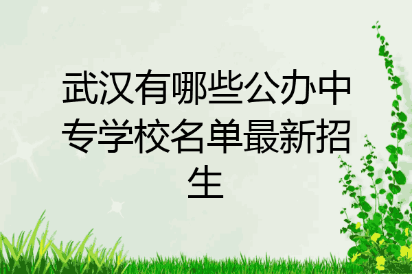 武汉有哪些公办中专学校名单最新招生