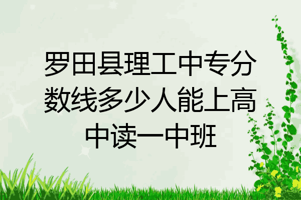 罗田县理工中专分数线多少人能上高中读一中班