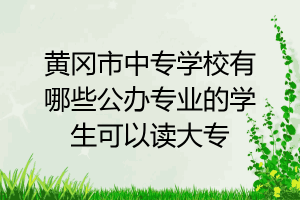 黄冈市中专学校有哪些公办专业的学生可以读大专