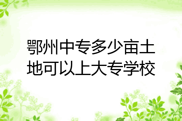 鄂州中专多少亩土地可以上大专学校