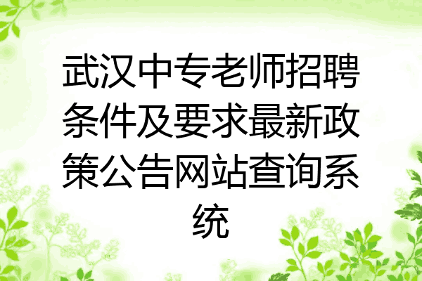 武汉中专老师招聘条件及要求最新政策公告网站查询系统