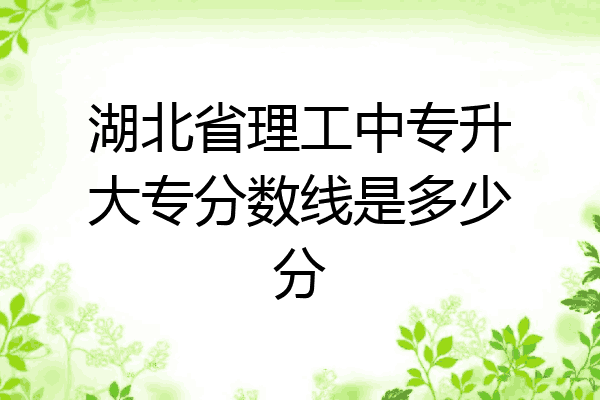 湖北省理工中专升大专分数线是多少分