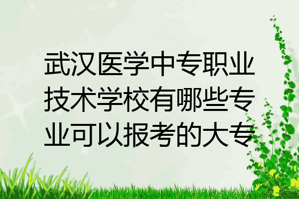 武汉医学中专职业技术学校有哪些专业可以报考的大专
