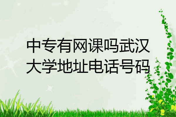 中专有网课吗武汉大学地址电话号码
