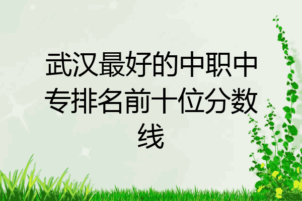 武汉最好的中职中专排名前十位分数线
