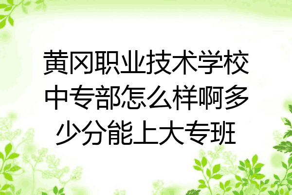 黄冈职业技术学校中专部怎么样啊多少分能上大专班