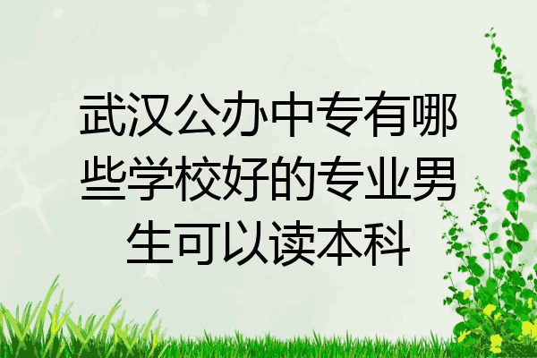 武汉公办中专有哪些学校好的专业男生可以读本科