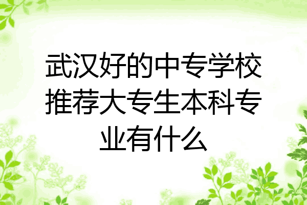 武汉好的中专学校推荐大专生本科专业有什么