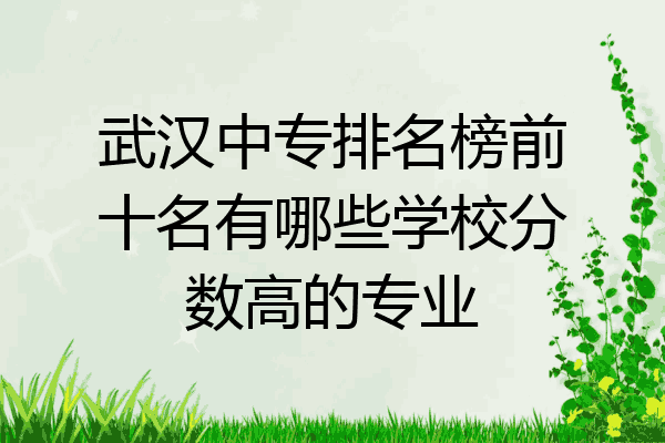武汉中专排名榜前十名有哪些学校分数高的专业