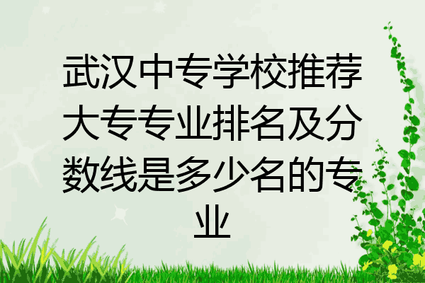 武汉中专学校推荐大专专业排名及分数线是多少名的专业