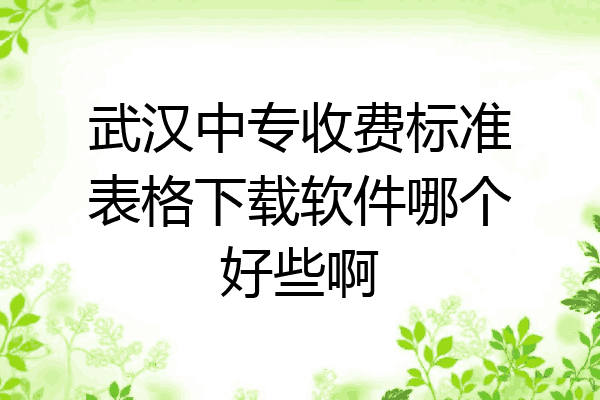 武汉中专收费标准表格下载软件哪个好些啊