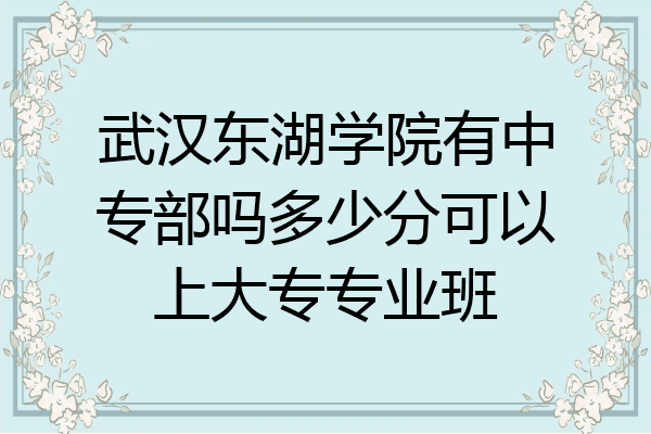 武汉东湖学院有中专部吗多少分可以上大专专业班