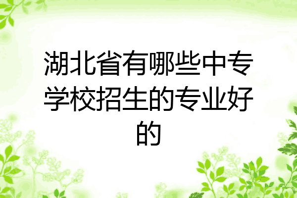 湖北省有哪些中专学校招生的专业好的