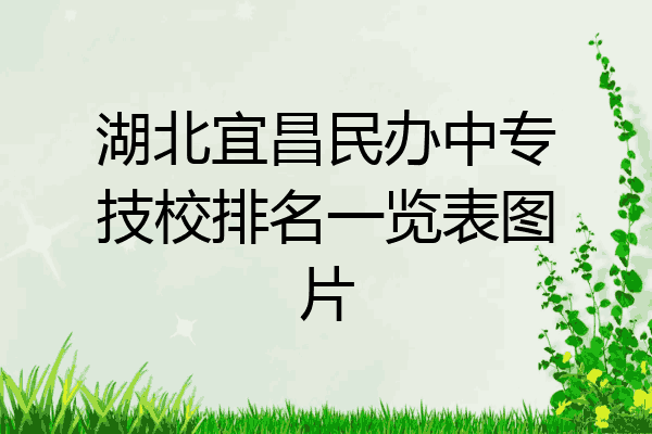 湖北宜昌民办中专技校排名一览表图片