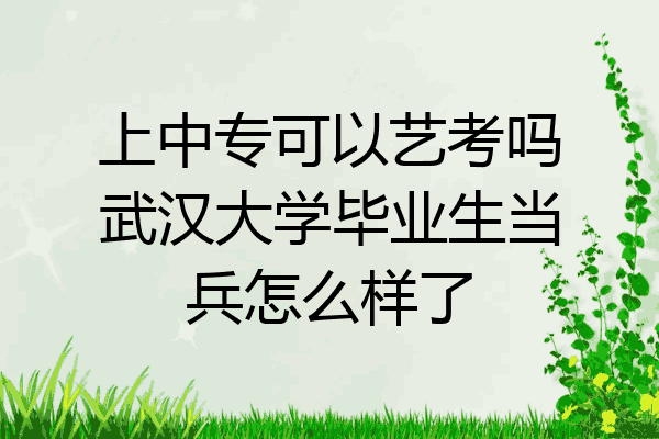 上中专可以艺考吗武汉大学毕业生当兵怎么样了