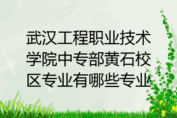 武汉工程职业技术学院中专部黄石校区专业有哪些专业