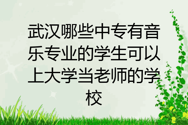 武汉哪些中专有音乐专业的学生可以上大学当老师的学校