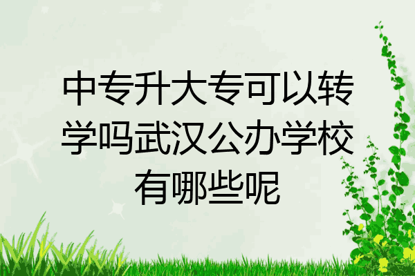 中专升大专可以转学吗武汉公办学校有哪些呢