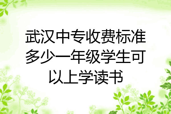 武汉中专收费标准多少一年级学生可以上学读书