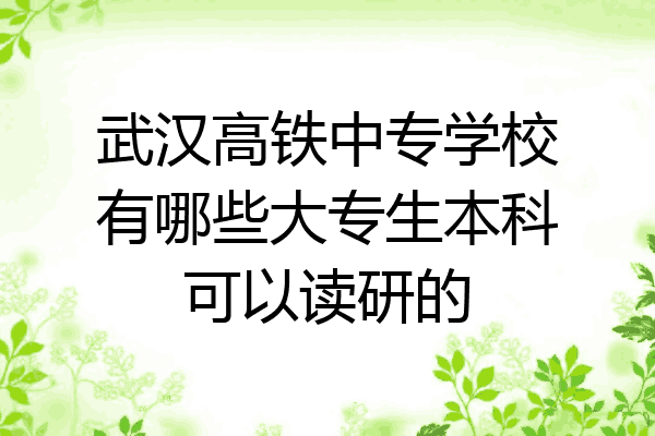 武汉高铁中专学校有哪些大专生本科可以读研的