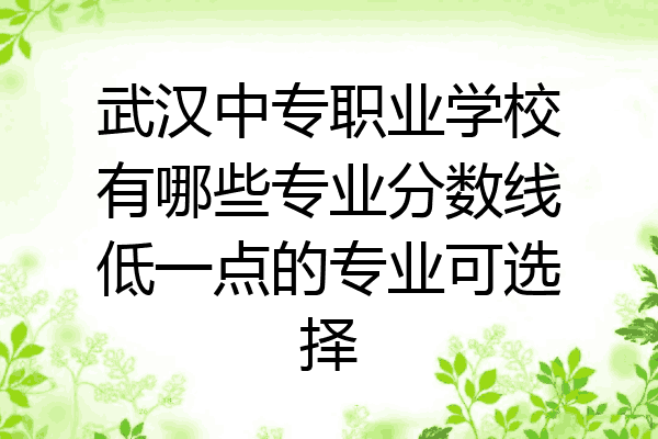 武汉中专职业学校有哪些专业分数线低一点的专业可选择