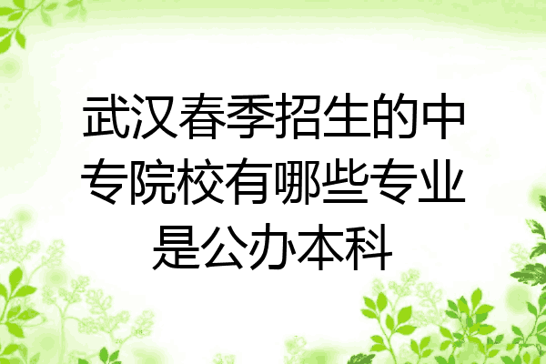 武汉春季招生的中专院校有哪些专业是公办本科