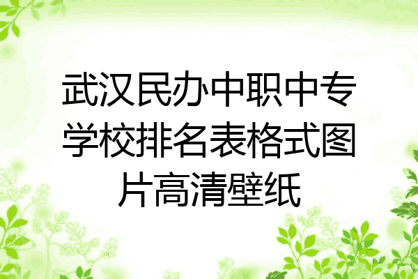 武汉民办中职中专学校排名表格式图片高清壁纸