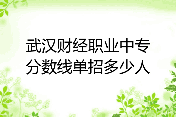 武汉财经职业中专分数线单招多少人