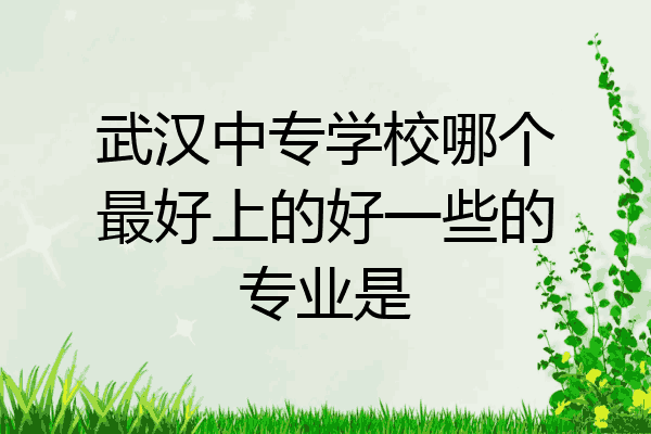 武汉中专学校哪个最好上的好一些的专业是