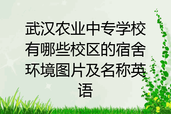 武汉农业中专学校有哪些校区的宿舍环境图片及名称英语