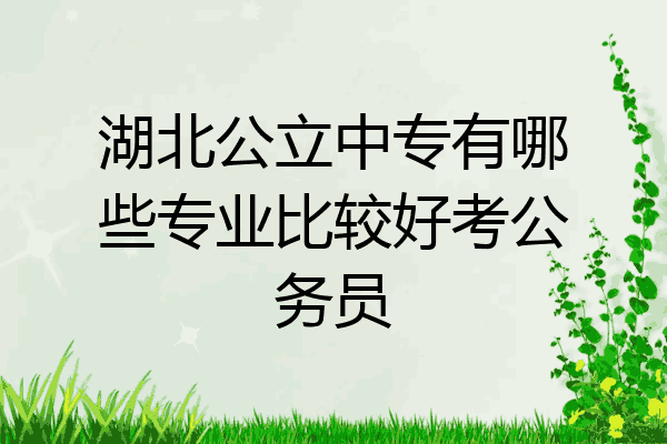 湖北公立中专有哪些专业比较好考公务员