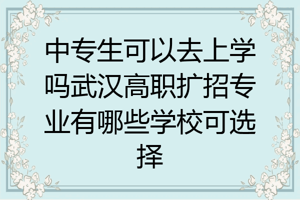 中专生可以去上学吗武汉高职扩招专业有哪些学校可选择