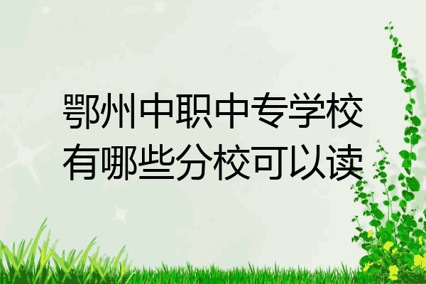 鄂州中职中专学校有哪些分校可以读