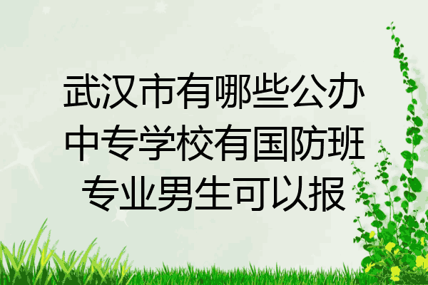 武汉市有哪些公办中专学校有国防班专业男生可以报