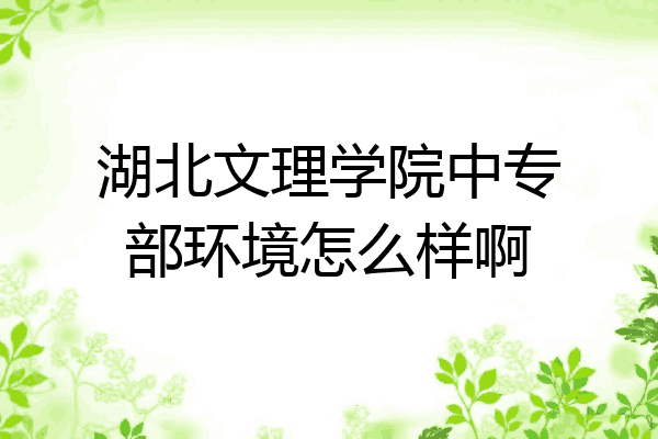 湖北文理学院中专部环境怎么样啊