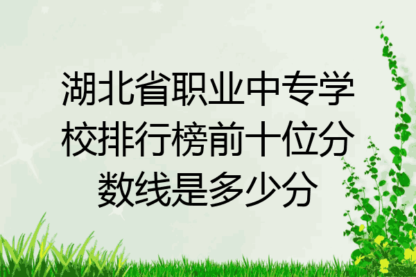 湖北省职业中专学校排行榜前十位分数线是多少分