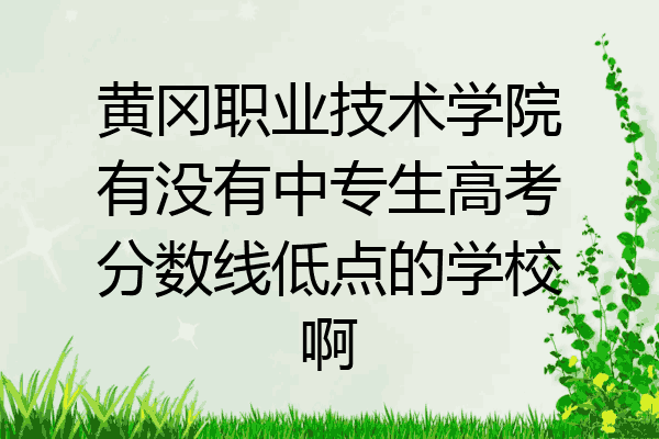 黄冈职业技术学院有没有中专生高考分数线低点的学校啊