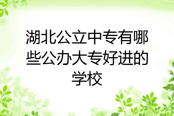 湖北公立中专有哪些公办大专好进的学校