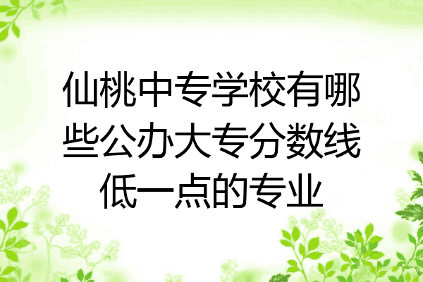 仙桃中专学校有哪些公办大专分数线低一点的专业