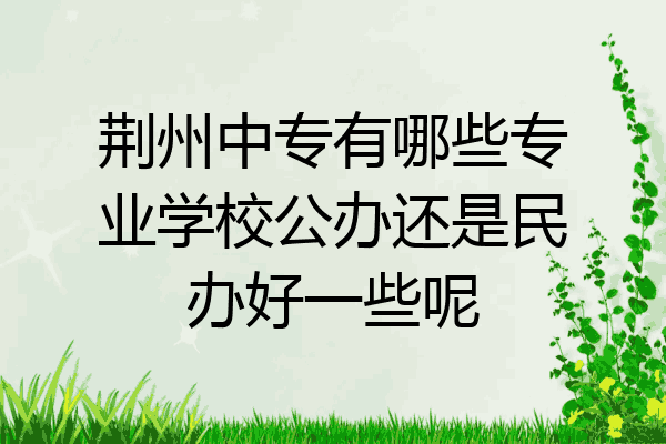 荆州中专有哪些专业学校公办还是民办好一些呢