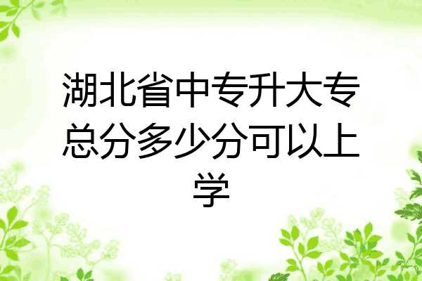 湖北省中专升大专总分多少分可以上学