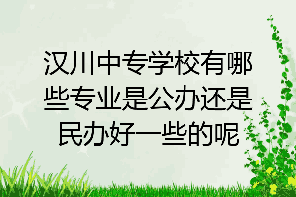 汉川中专学校有哪些专业是公办还是民办好一些的呢