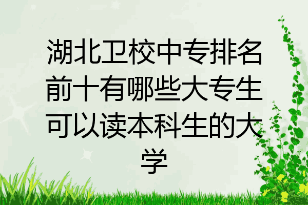 湖北卫校中专排名前十有哪些大专生可以读本科生的大学